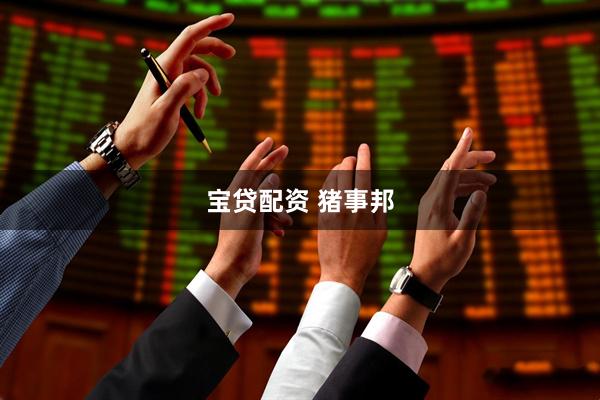 宝贷配资 猪事邦