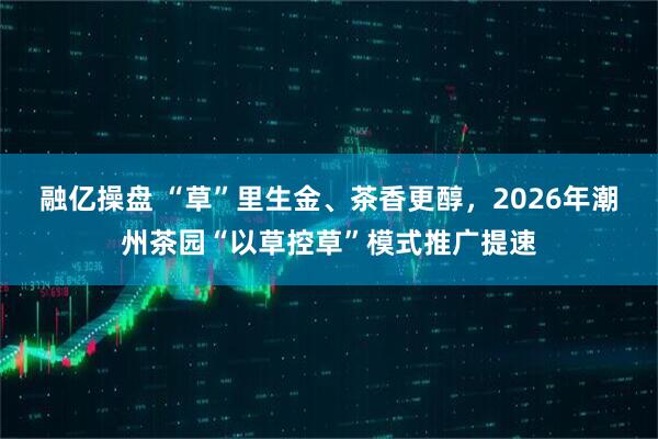 融亿操盘 “草”里生金、茶香更醇，2026年潮州茶园“以草控草”模式推广提速