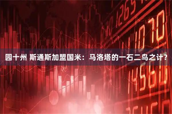 园十州 斯通斯加盟国米：马洛塔的一石二鸟之计？